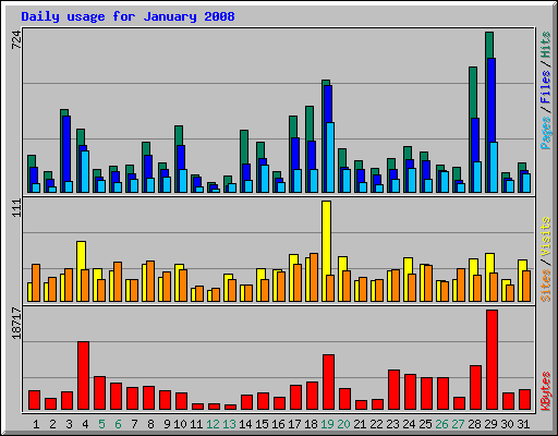 Daily usage for January 2008