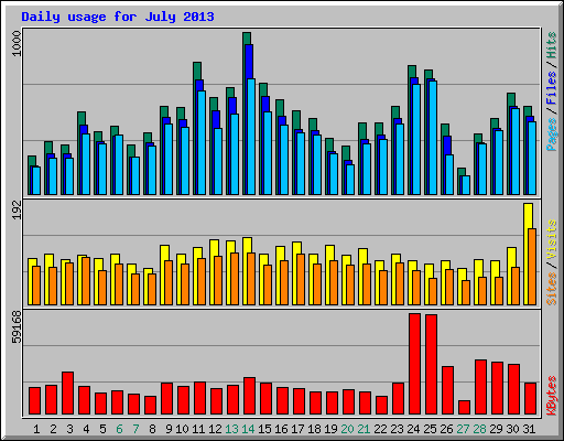 Daily usage for July 2013