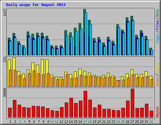 Daily usage for August 2013