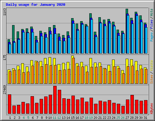 Daily usage for January 2020