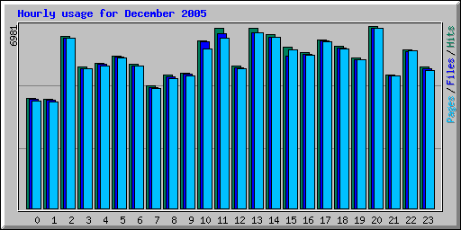 Hourly usage for December 2005