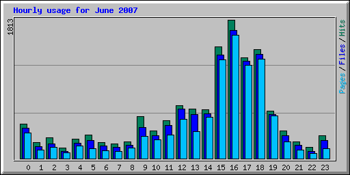 Hourly usage for June 2007