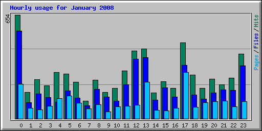 Hourly usage for January 2008
