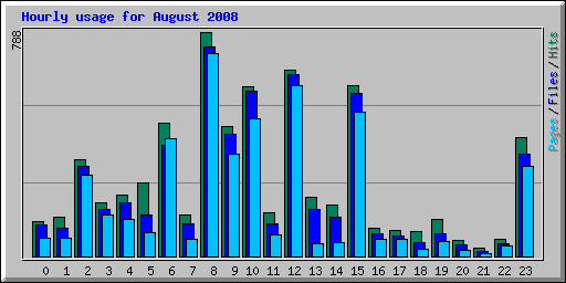 Hourly usage for August 2008