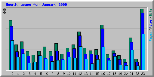 Hourly usage for January 2009