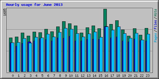 Hourly usage for June 2013