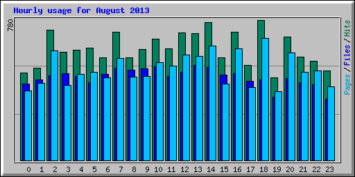 Hourly usage for August 2013