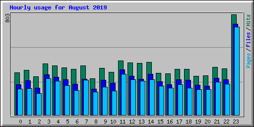 Hourly usage for August 2019