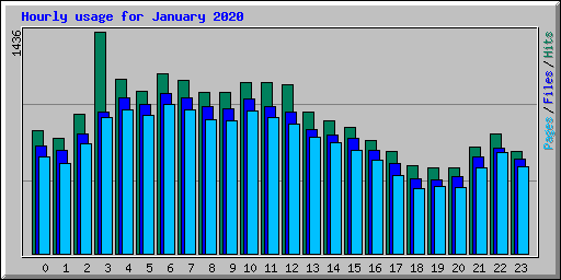 Hourly usage for January 2020