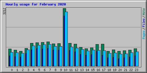 Hourly usage for February 2020